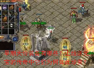 �������װ������Щ��������Ԫ���Ĵ���������Ϊ��������