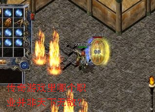 ������Ϸ���ĸ�ְҵ���������޵У�