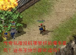 传奇私服挂机哪里经验爆率最高?这些圣地你都知道吗? 传奇私服挂机哪里经验爆率最高?这些圣地你都知道吗?