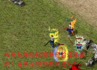 传奇私服挂机哪里经验爆率最高?这些圣地你都知道吗? 传奇私服挂机哪里经验爆率最高?这些圣地你都知道吗?
