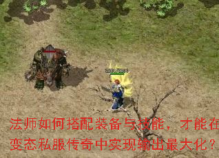 ��ʦ��δ���װ���뼼�ܣ������ڱ�̬˽��������ʵ�������󻯣�