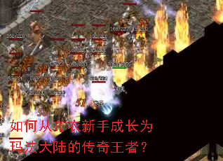 ��δӲ������ֳɳ�Ϊ�귨��½�Ĵ������ߣ�