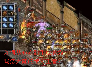 ��δӲ������ֳɳ�Ϊ�귨��½�Ĵ������ߣ�