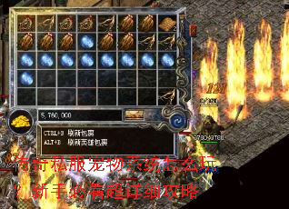 传奇私服宠物系统怎么玩?新手必看超详细攻略 传奇私服宠物系统怎么玩?新手必看超详细攻略