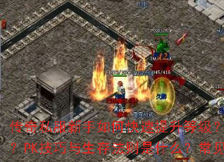 ����˽��������ο��������ȼ���װ����ȡ����Щ��Ч;����PK���������淨����ʲô��������������һվʽ�����