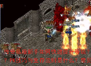 ����˽��������ο��������ȼ���װ����ȡ����Щ��Ч;����PK���������淨����ʲô��������������һվʽ�����