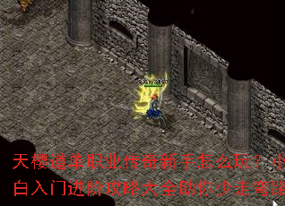 ��ӣ����ְҵ����������ô�棿С�����Ž��׹��Դ�ȫ����������·