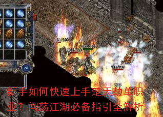 ������ο������ֳ���ٵ�ְҵ�����������ر�ָ��ȫ����