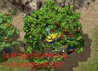 ��ο�����ɴ���˽��������ȡ�������