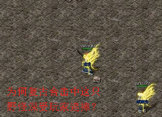 Ϊ�θ��źϻ�����ֻҰ���������׷����