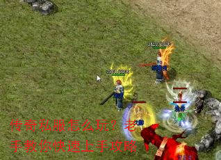 ����˽����ô�棿���ֽ���������ֹ���