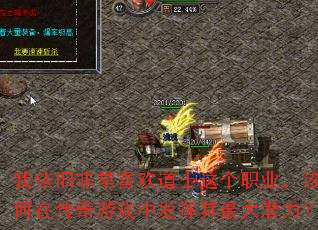 �����ɷǳ�ϲ����ʿ���ְҵ��������ڴ�����Ϸ�з��������Ǳ����