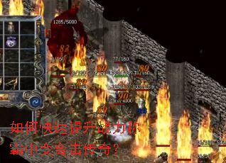 ��ο�������ս���ư��б�ϻ����棿