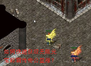 如何快速获取无限元宝称霸传奇公益服? 如何快速获取无限元宝称霸传奇公益服?