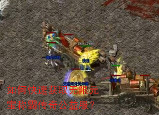 如何快速获取无限元宝称霸传奇公益服? 如何快速获取无限元宝称霸传奇公益服?