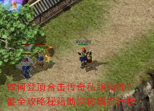 如何登顶合击传奇私服巅峰?最全攻略秘籍助你称霸排行榜 如何登顶合击传奇私服巅峰?最全攻略秘籍助你称霸排行榜