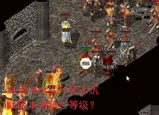 ��ο��������ұ���Ĭ�汾�Ľ�ɫ�ȼ���