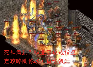 ����ݵ���ְҵ������ָ������������ս��ֱ�����