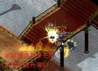 ��ο��ٻ������Ԫ����������V��