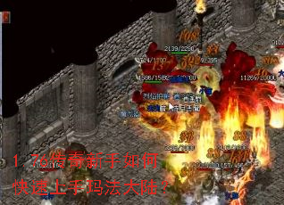 1.76����������ο��������귨��½��