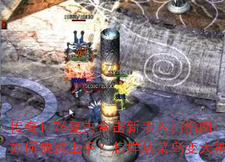 ����1.76���źϻ���������ָ�ϣ���ο������֣������Ӳ�������