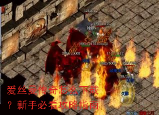 ��˿��������ô���أ����ֱؿ�����ָ��