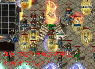 ��ο����ڴ�����Ϸ�дﵽ�ϼ�1737ս����