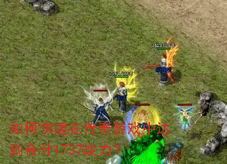 ��ο����ڴ�����Ϸ�дﵽ�ϼ�1737ս����