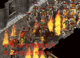 ��δ����ֿ��ٳɳ�Ϊ�귨��½�Ĵ��������