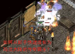 ��δ����ֿ��ٳɳ�Ϊ�귨��½�Ĵ��������