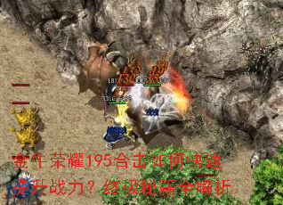 ��ţ��ҫ195�ϻ���ο�������ս�����ռ��ؼ�ȫ����