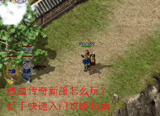 ��Ѫ�����·���ô�棿���ֿ������Ź���ָ��