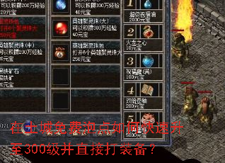 ����������ݵ���ο�������300����ֱ�Ӵ�װ����