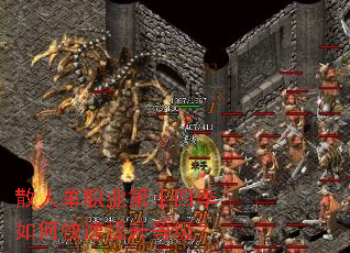 ɢ�˵�ְҵ��ʮ�ļ���ο��������ȼ���