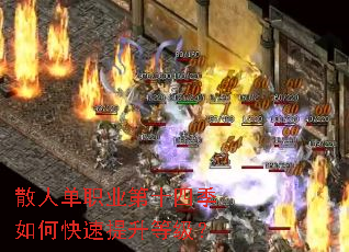 ɢ�˵�ְҵ��ʮ�ļ���ο��������ȼ���