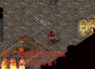 ������ο��ٻ�ȡ��Ѫ������������װ����