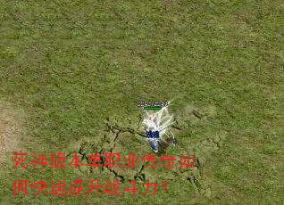 ����汾��ְҵ������ο�������ս������