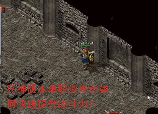 ����汾��ְҵ������ο�������ս������