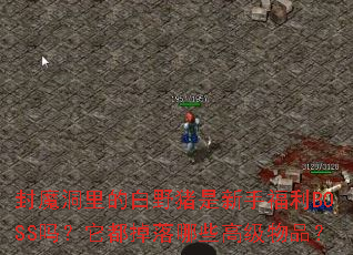 ��ħ����İ�Ұ�������ָ���BOSS������������Щ�߼���Ʒ��