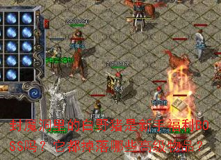 ��ħ����İ�Ұ�������ָ���BOSS������������Щ�߼���Ʒ��