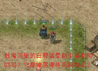 ��ħ����İ�Ұ�������ָ���BOSS������������Щ�߼���Ʒ��