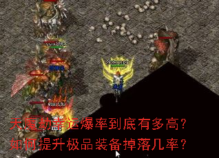 ��ħ�����˱��ʵ����ж�ߣ����������Ʒװ�����伸�ʣ�