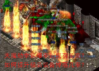 ��ħ�����˱��ʵ����ж�ߣ����������Ʒװ�����伸�ʣ�