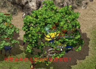 ������ʧ��ɱ����ο��ٻ�ȡ��