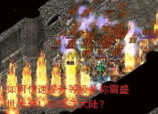 ��ο��������ȼ����ư�ʢ������1.80�귨��½��