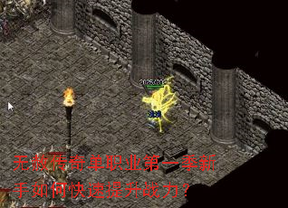 ���⴫�浥ְҵ��һ��������ο�������ս����