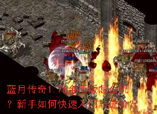 ���´���1.76��Ұ���ô�棿������ο�����������ף�