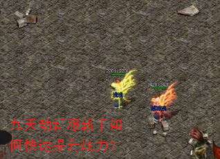 九天劫新服新手如何快速提升战力? 九天劫新服新手如何快速提升战力?