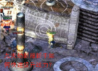 九天劫新服新手如何快速提升战力? 九天劫新服新手如何快速提升战力?
