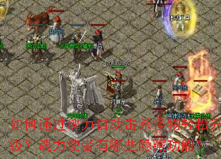 ���ͨ�������Զ���ɱ������������������ʹ������Щ���ع��ܣ�